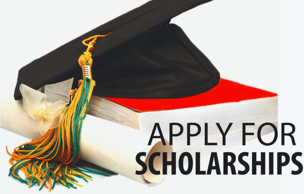 Scholarships in Netherlands How to Apply and Win Funding