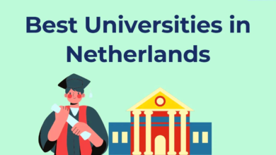 Scholarships in Netherlands How to Apply and Win Funding